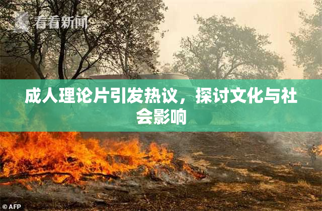 成人理论片引发热议，探讨文化与社会影响