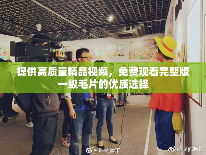 提供高质量精品视频，免费观看完整版一级毛片的优质选择