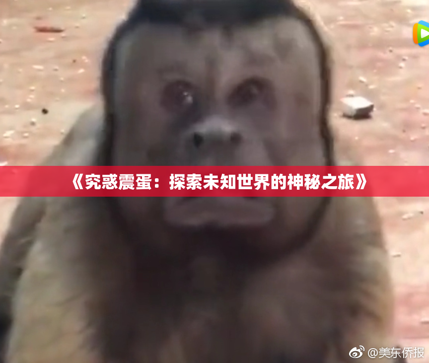 《究惑震蛋：探索未知世界的神秘之旅》