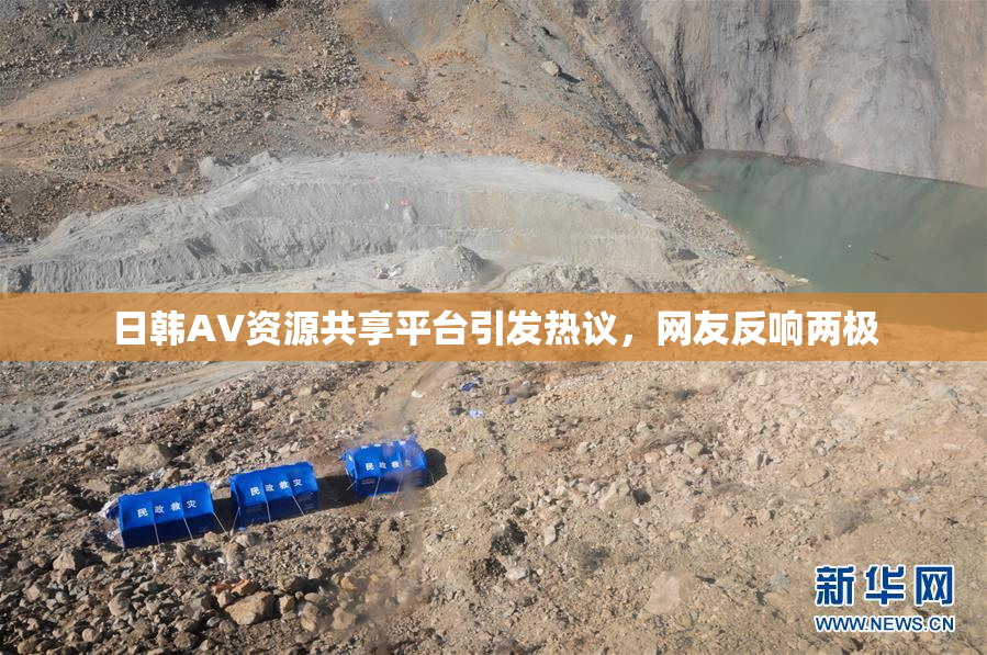 日韩AV资源共享平台引发热议，网友反响两极