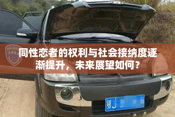同性恋者的权利与社会接纳度逐渐提升，未来展望如何？