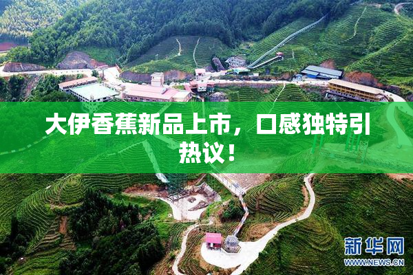 大伊香蕉新品上市，口感独特引热议！