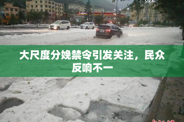 大尺度分娩禁令引发关注，民众反响不一