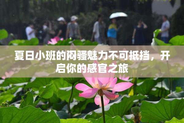夏日小班的闷骚魅力不可抵挡，开启你的感官之旅