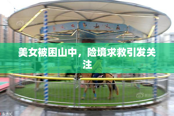 美女被困山中，险境求救引发关注