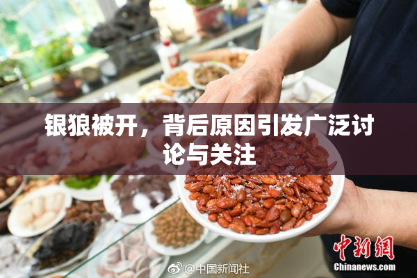 银狼被开，背后原因引发广泛讨论与关注