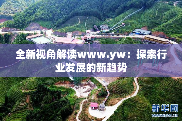 全新视角解读www.yw：探索行业发展的新趋势