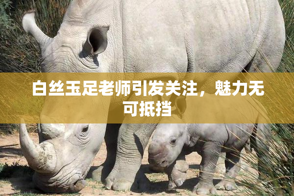 白丝玉足老师引发关注，魅力无可抵挡