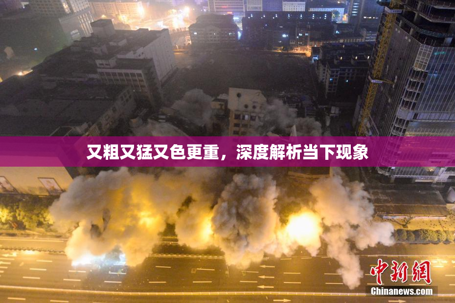 又粗又猛又色更重，深度解析当下现象
