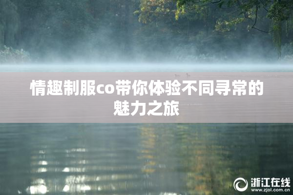 情趣制服co带你体验不同寻常的魅力之旅