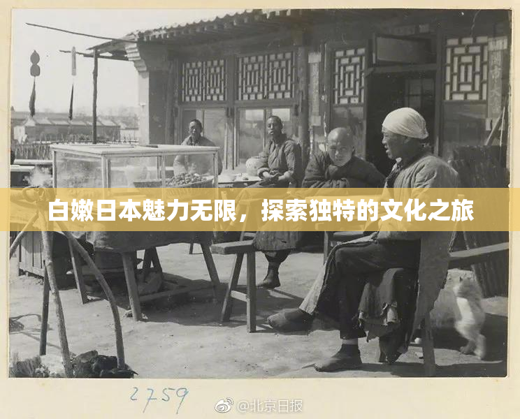 白嫩日本魅力无限，探索独特的文化之旅