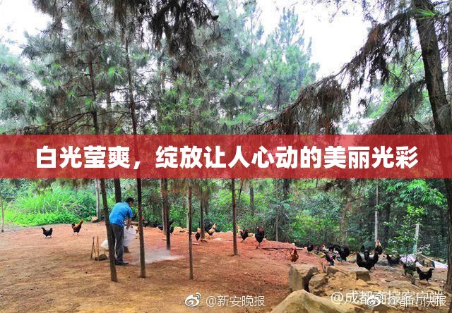 白光莹爽，绽放让人心动的美丽光彩