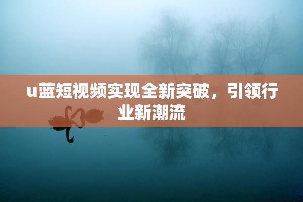 u蓝短视频实现全新突破，引领行业新潮流