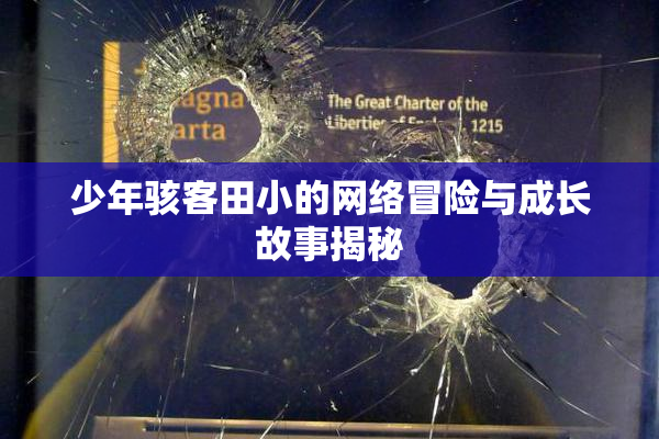 少年骇客田小的网络冒险与成长故事揭秘