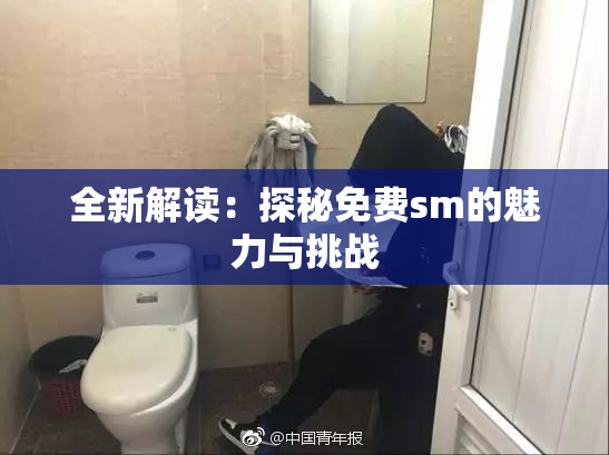 全新解读：探秘免费sm的魅力与挑战