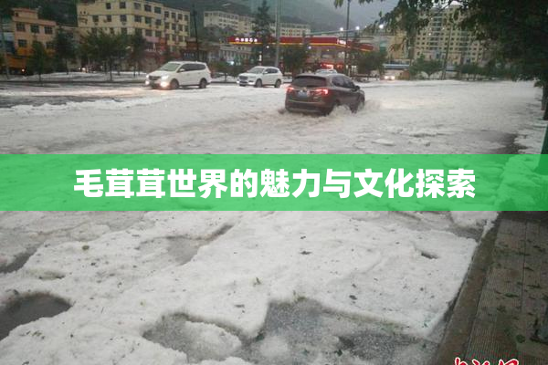 毛茸茸世界的魅力与文化探索