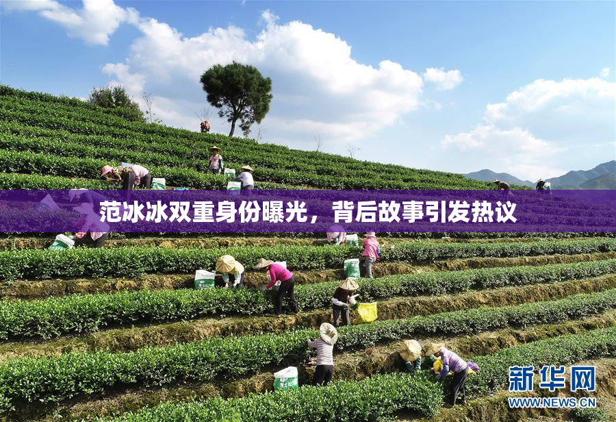 范冰冰双重身份曝光，背后故事引发热议