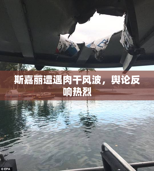 斯嘉丽遭遇肉干风波，舆论反响热烈