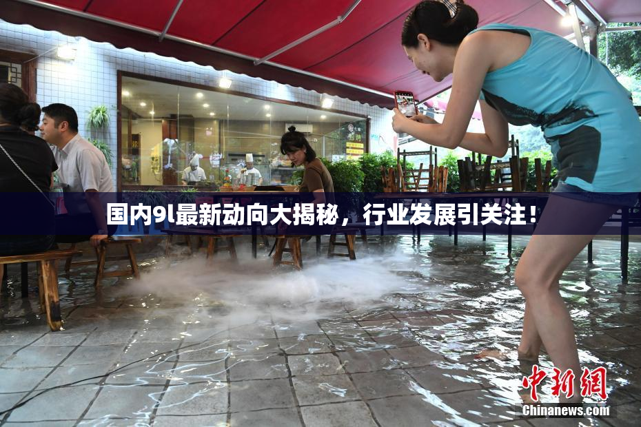 国内9l最新动向大揭秘，行业发展引关注！