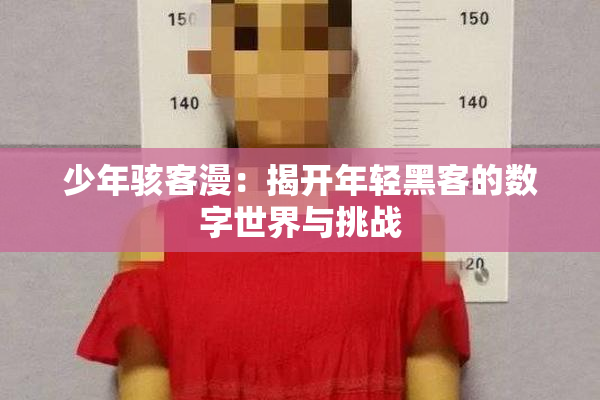 少年骇客漫：揭开年轻黑客的数字世界与挑战