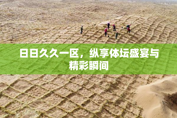 日日久久一区，纵享体坛盛宴与精彩瞬间