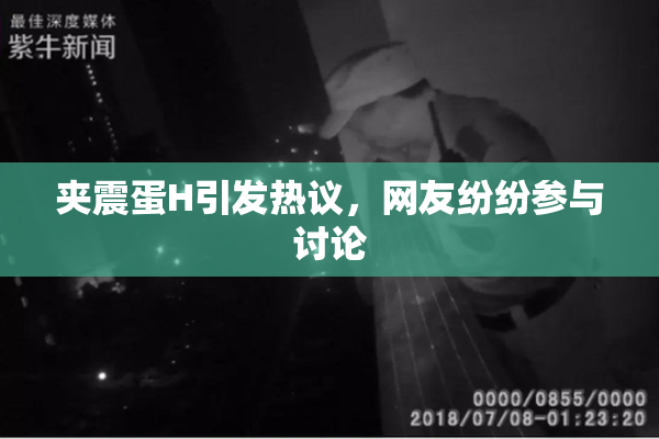 夹震蛋H引发热议，网友纷纷参与讨论
