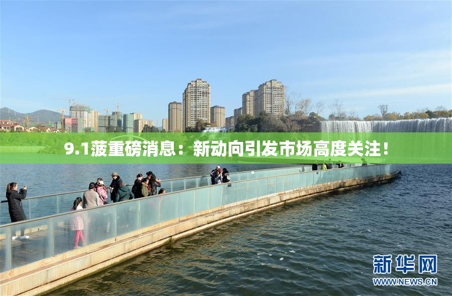 9.1菠重磅消息：新动向引发市场高度关注！