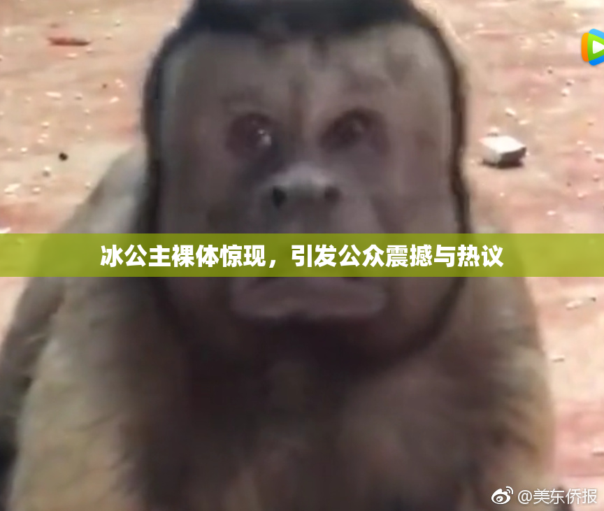 冰公主裸体惊现，引发公众震撼与热议