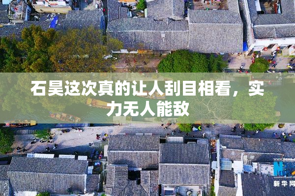 石昊这次真的让人刮目相看，实力无人能敌