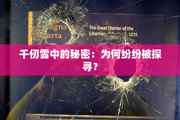 千仞雪中的秘密：为何纷纷被探寻？