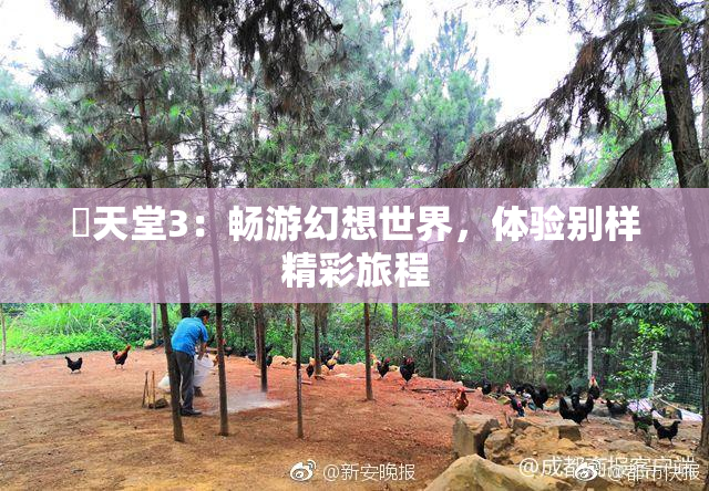 妺天堂3：畅游幻想世界，体验别样精彩旅程