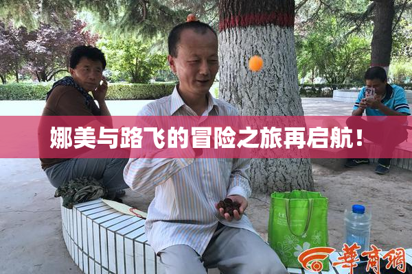 娜美与路飞的冒险之旅再启航！