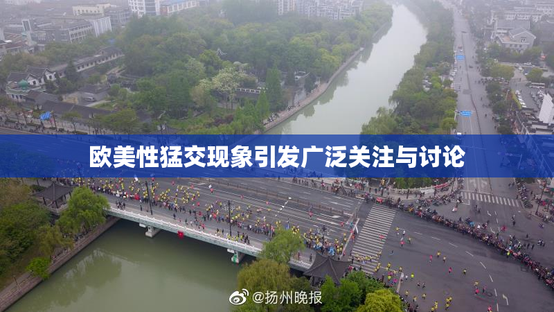 欧美性猛交现象引发广泛关注与讨论
