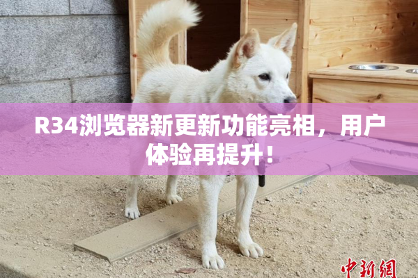 R34浏览器新更新功能亮相，用户体验再提升！