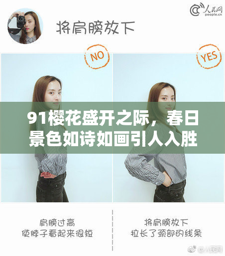 91樱花盛开之际，春日景色如诗如画引人入胜