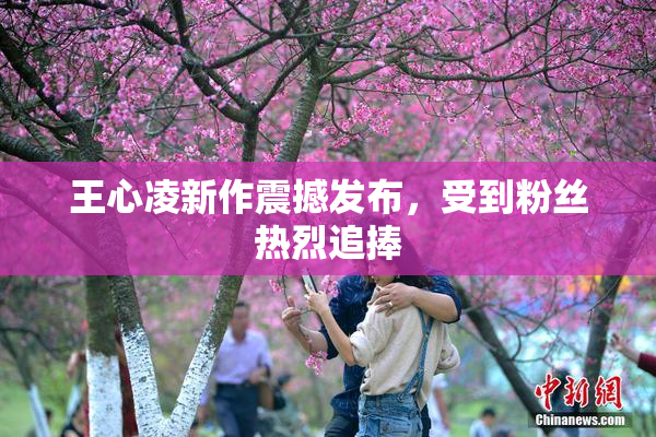 王心凌新作震撼发布，受到粉丝热烈追捧