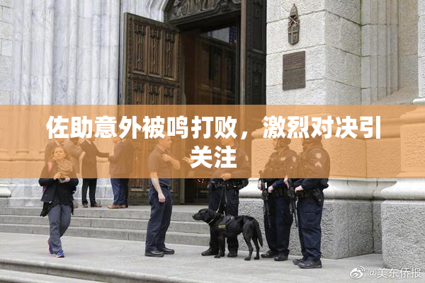 佐助意外被鸣打败，激烈对决引关注