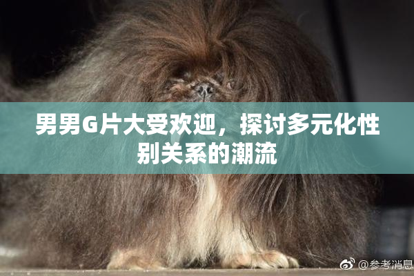 男男G片大受欢迎，探讨多元化性别关系的潮流