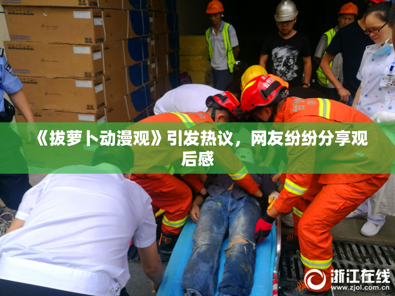 《拔萝卜动漫观》引发热议，网友纷纷分享观后感