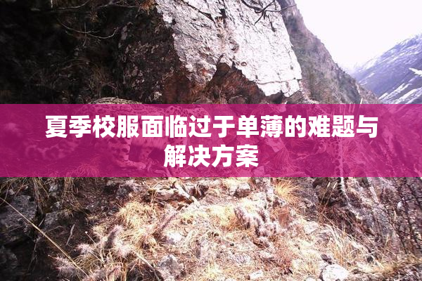 夏季校服面临过于单薄的难题与解决方案