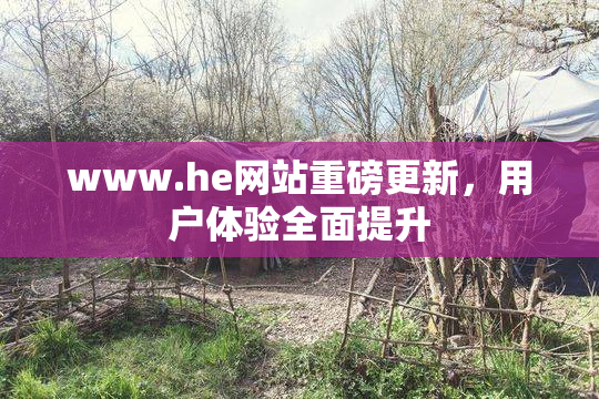 www.he网站重磅更新，用户体验全面提升