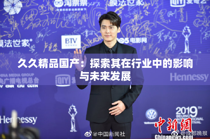 久久精品国产：探索其在行业中的影响与未来发展