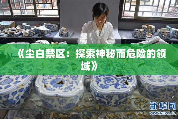 《尘白禁区：探索神秘而危险的领域》