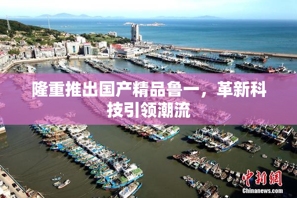 隆重推出国产精品鲁一，革新科技引领潮流