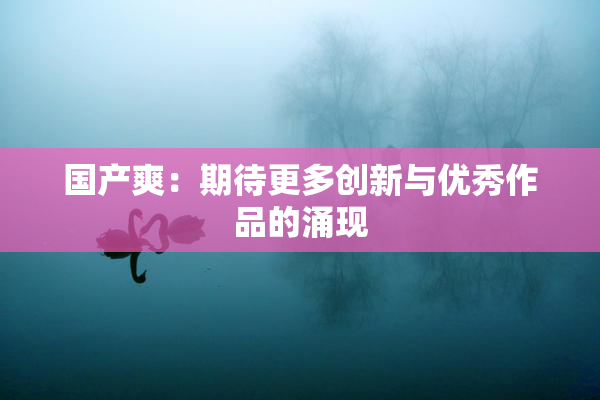 国产爽：期待更多创新与优秀作品的涌现