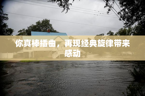 你真棒插曲，再现经典旋律带来感动