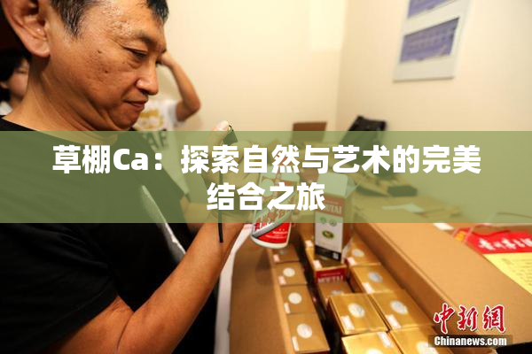 草棚Ca：探索自然与艺术的完美结合之旅
