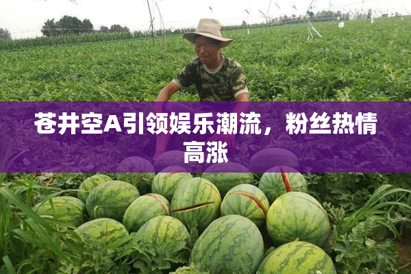 苍井空A引领娱乐潮流，粉丝热情高涨
