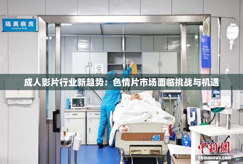 成人影片行业新趋势：色情片市场面临挑战与机遇