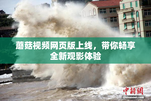蘑菇视频网页版上线，带你畅享全新观影体验